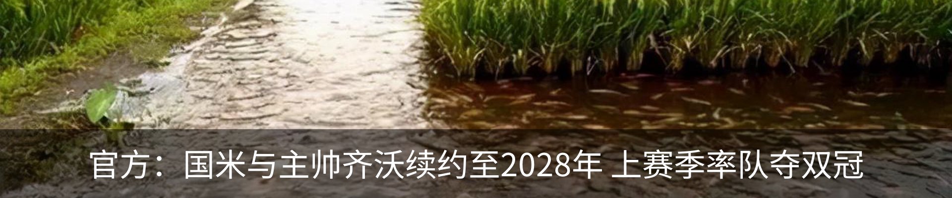 内页banner
