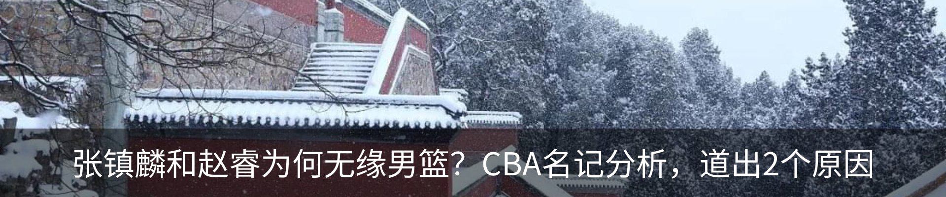 内页banner