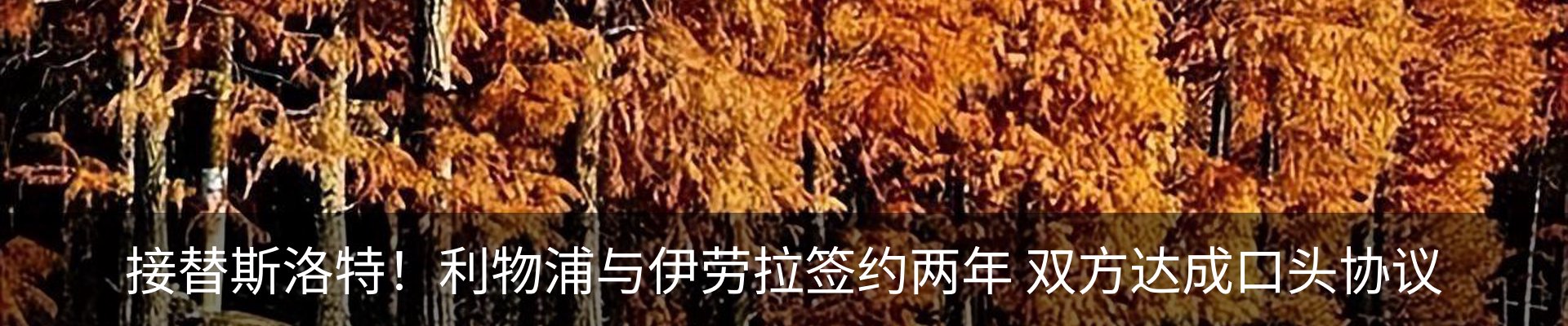 内页banner